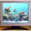 LCD Monitor for Dental Camera 15inch or 17inch TV/VGA/Video