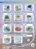 Othordontic Appliances/Removable Retainers