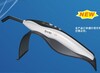 LED Curing Light (KY-L033)