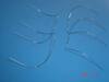 Niti Reverse Curve Arch Wire (Round & Rectangular)