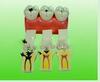 Dental Teaching Model/ Caries Demonstrating Model of Four Times Natural Size