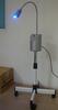 CE Approved Teeth Whitening Beauty Machine (TW01)