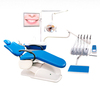Dental Unit (Y500)