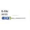 Dentsply K/H File