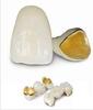 Metal Porcelain Teeth