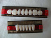 Two Story Acrylic Resin Teeth
