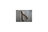 Orthodontic Pliers