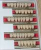 Acrylic Teeth