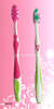 Tooth Brush (1535) 