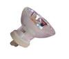 Curing Light (64624)