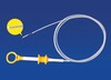 Cytolgy Brush