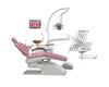 Dental Unit (AE-C21)