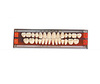 Minute Color Synthetic Resin Teeth