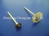 Dental Polishing Brush (CN-PII-04)