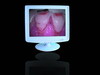 LCD Monitor (M-15)