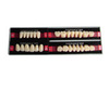 Two-Story Color Synthetic Resin Teeth