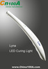 LED Curing Light (CN100A)