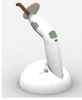 Curing Light