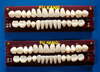 Acrylic Resin Teeth