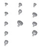 Dental Closure Screw and Healing Cap (022010)