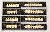 Artificial Teeth