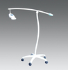 Portable Teeth Whitening Accelerator (S-HL202)