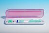 Portable UV Toothbrush Sanitizer (RST2020)