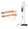 Advanced Venipuncture & Intramuscular Injection Arm (KAR/S2)