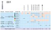 Dental Supply - Daimond & Carbide Burs