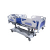 Professional ICU Bed (IC-11)