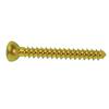 6.5 MM CANCELLOUS SCREW 32MM THREAD