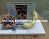 Neurons Model (EYAM-28)