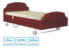3-Function Home Care Electric Bed (Thr-Hc536)