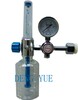 Oxygen Regulator (DY-C1)