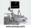 Ivis60 Color Doppler Ultrasound Scanner (CE Approved)