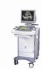 Ultrasound Scanner (SPC-2000CII)