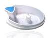 Detox Foot SPA