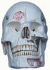 Medical model